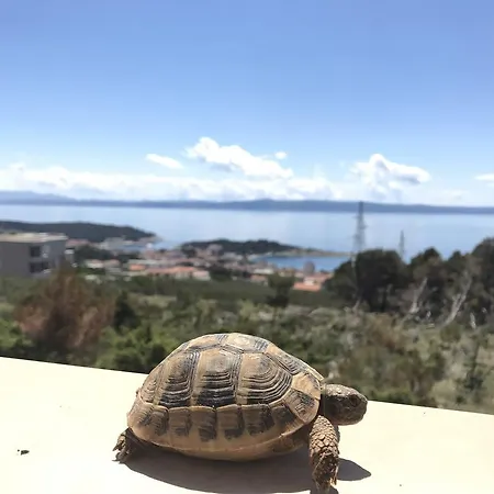 Βίλα Gv - With Magnapool