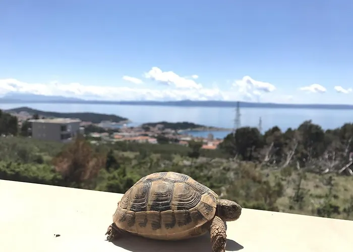 וילה Gv - With Magnapool